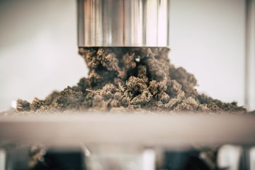 Cannabis-Extrakte-und-Darreichungsformen_01